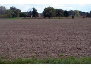 Property photo 107 - EHLE FARMS AUCTION - 118+/- ACRES IN 9 TRACTS IN ALLEN COUNTY, INDIANA